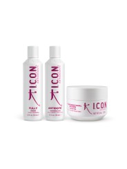 Pack ICON Antioxidants  Fully +  Antidote + Transformational Infusion