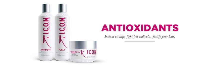 ICON Antioxidante| Antiox | Regimedy